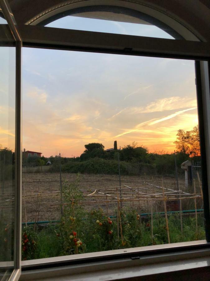 Agriturismo "Lo Zafferano" Aprilia Ngoại thất bức ảnh